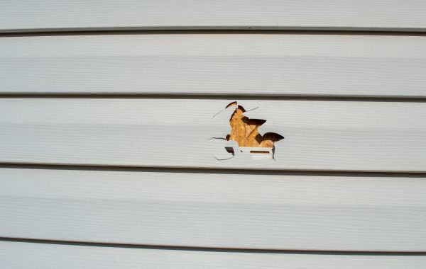Cost of Siding Hole Patching in Reston