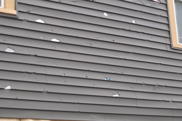 Damaged Siding Replacement in Reston