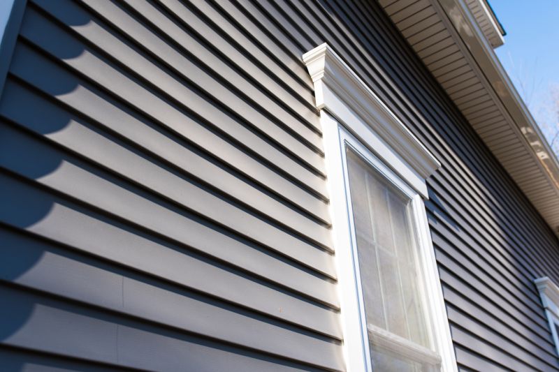 Vinyl Siding on a Reston Home