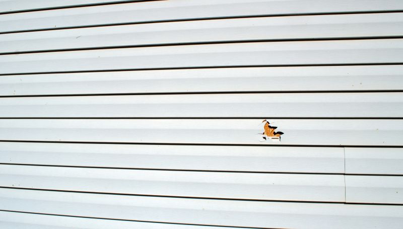 Vinyl Siding Repair Professional Image 1